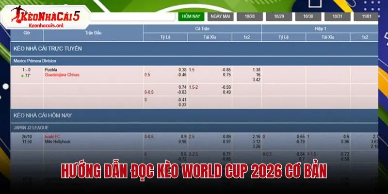 Hướng dẫn chi tiết cách đọc các loại kèo bóng đá World Cup 2026 cơ bản