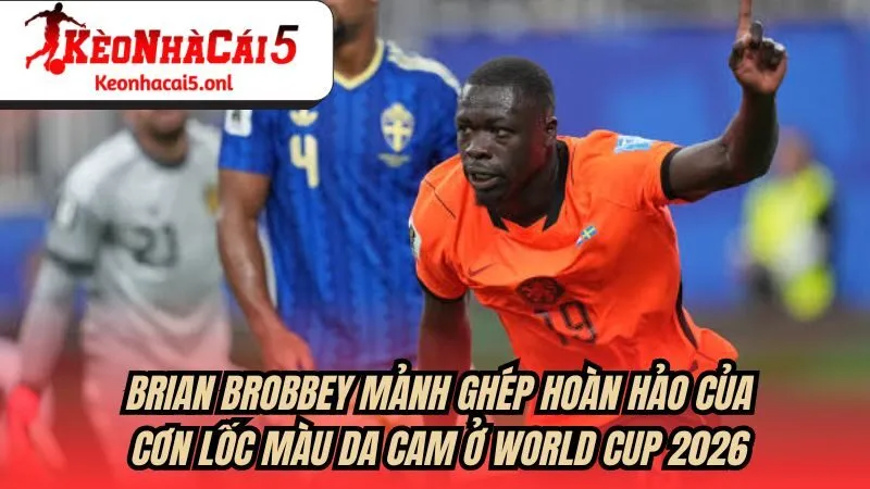 Brian Brobbey - Mảnh ghép hoàn hảo của Cơn lốc màu da cam ở World Cup 2026